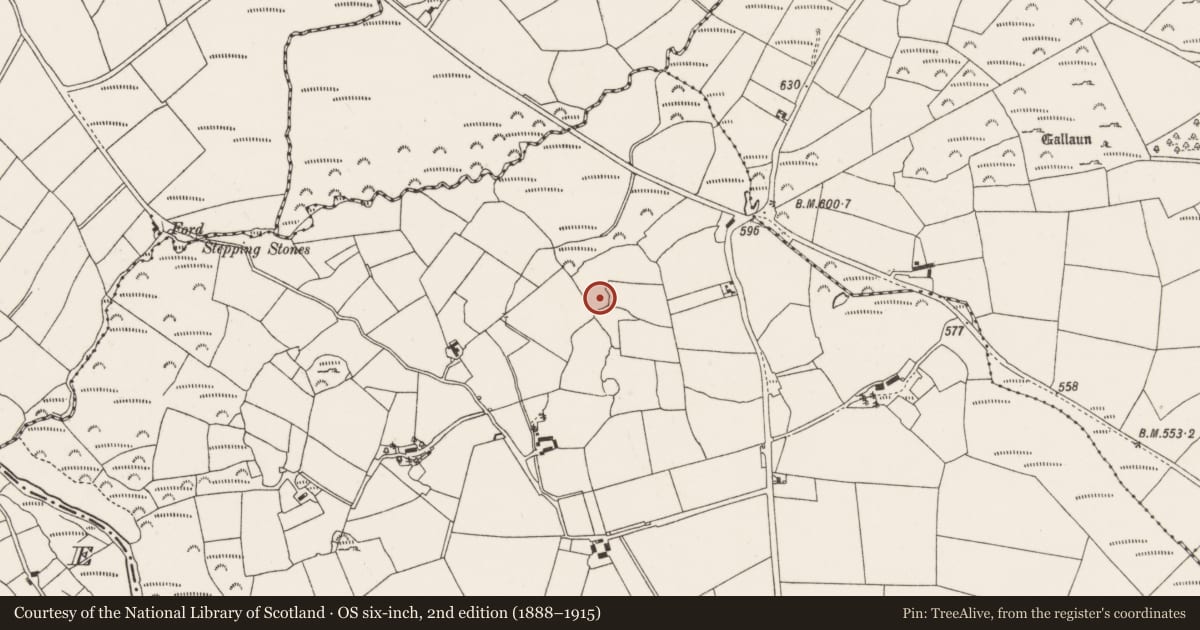 Ordnance Survey six-inch map, 2nd edition (1888–1915) covering the location of Ringfort - cashel, Derryroe, County Cork, with a pin at the register's coordinates