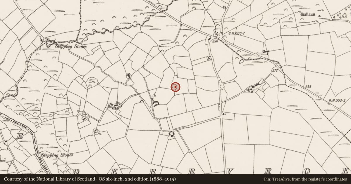 Ordnance Survey six-inch map, 2nd edition (1888–1915) covering the location of Ringfort - rath, Derryroe, County Cork, with a pin at the register's coordinates