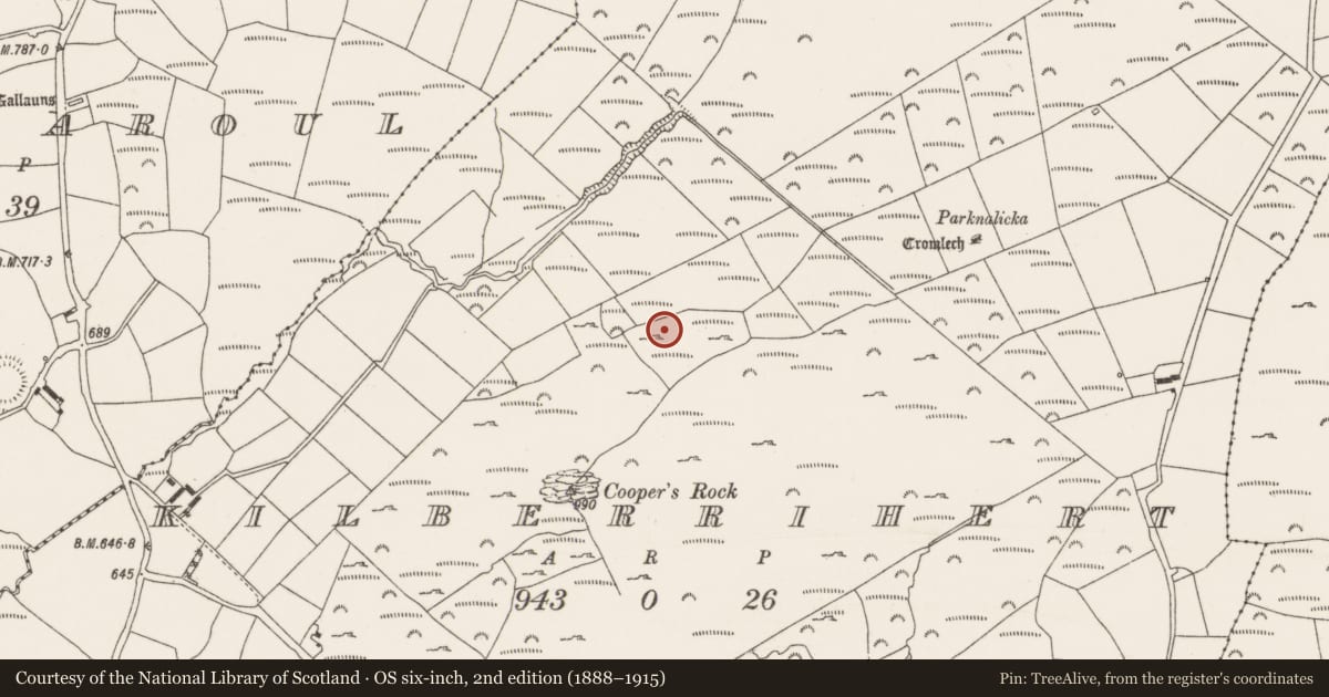 Ordnance Survey six-inch map, 2nd edition (1888–1915) covering the location of Megalithic tomb - wedge tomb, Kilberrihert, County Cork, with a pin at the register's coordinates