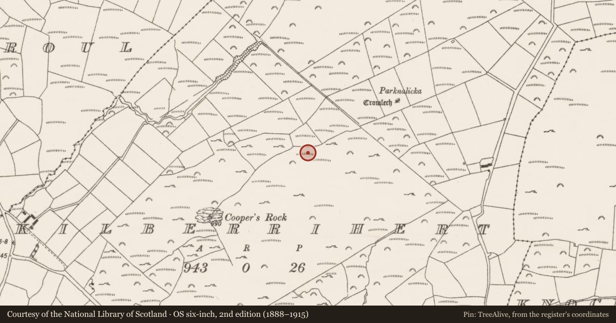 Ordnance Survey six-inch map, 2nd edition (1888–1915) covering the location of Enclosure, Kilberrihert, County Cork, with a pin at the register's coordinates