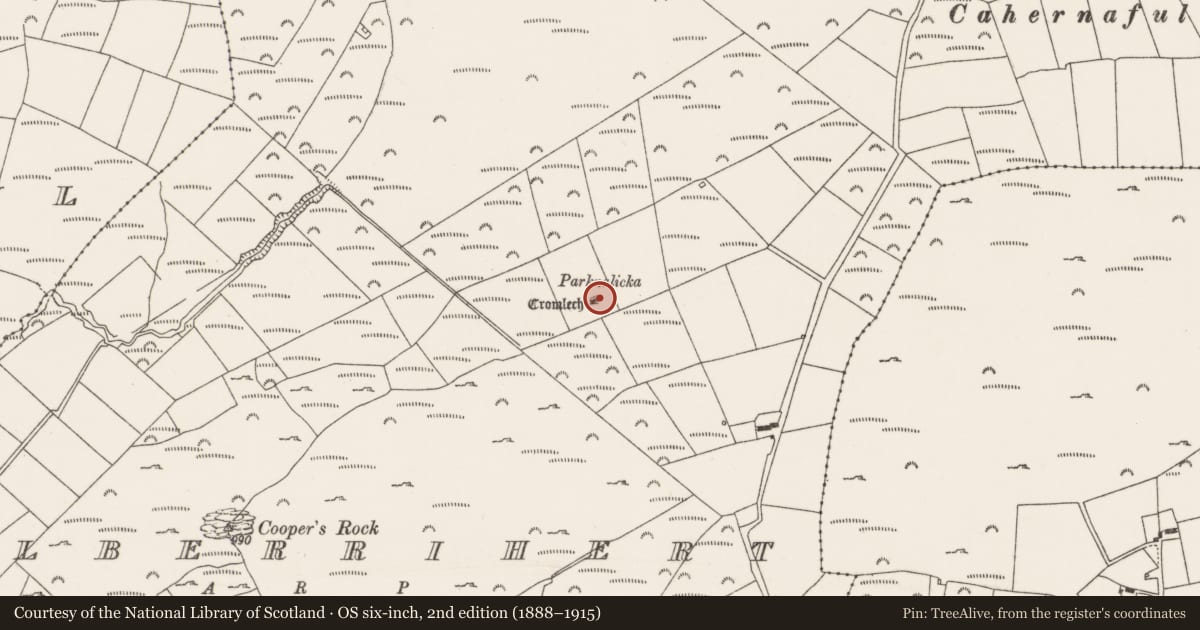Ordnance Survey six-inch map, 2nd edition (1888–1915) covering the location of Megalithic tomb - wedge tomb, Kilberrihert, County Cork, with a pin at the register's coordinates