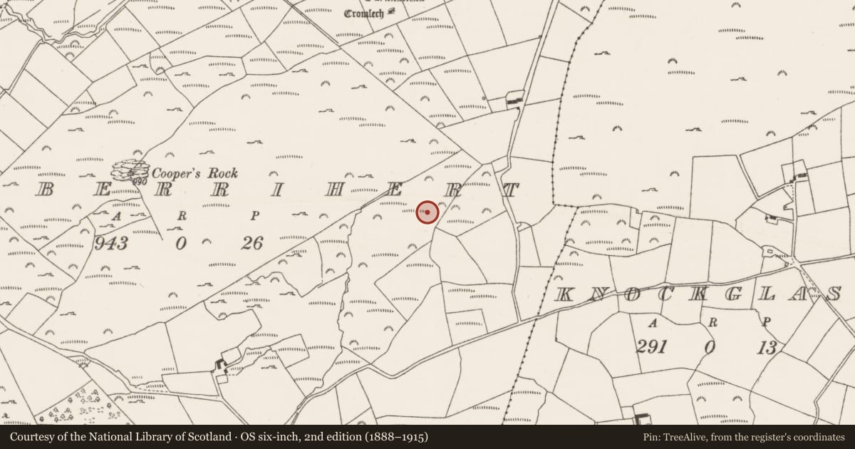 Ordnance Survey six-inch map, 2nd edition (1888–1915) covering the location of Fulacht fia, Kilberrihert, County Cork, with a pin at the register's coordinates