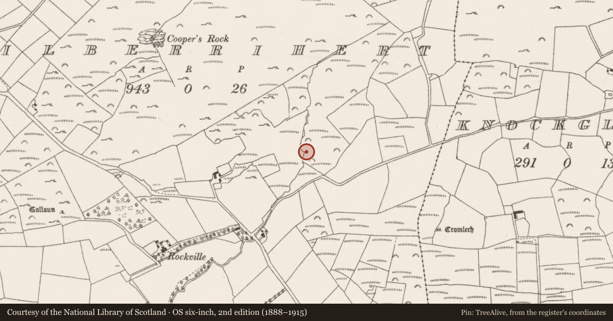 Ordnance Survey six-inch map, 2nd edition (1888–1915) covering the location of Fulacht fia, Kilberrihert, County Cork, with a pin at the register's coordinates