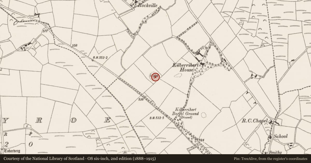 Ordnance Survey six-inch map, 2nd edition (1888–1915) covering the location of Ringfort - rath, Kilberrihert, County Cork, with a pin at the register's coordinates