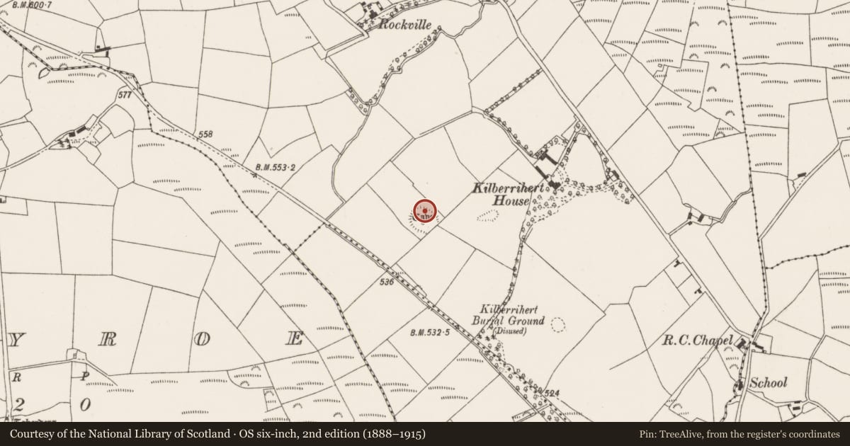 Ordnance Survey six-inch map, 2nd edition (1888–1915) covering the location of Souterrain, Kilberrihert, County Cork, with a pin at the register's coordinates