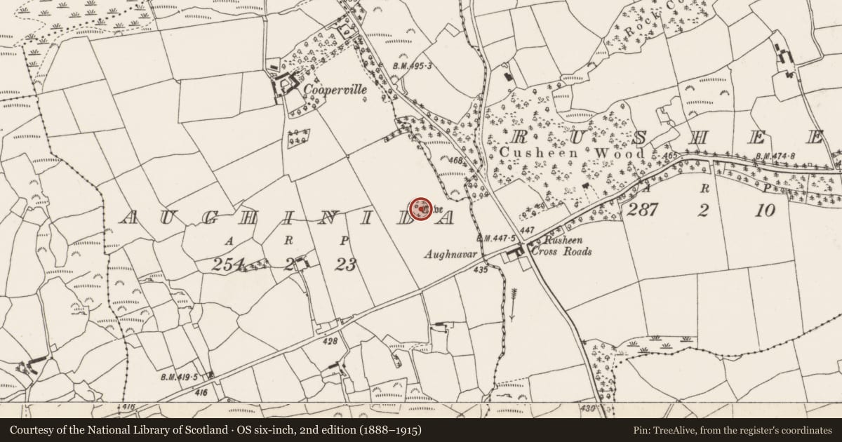 Ordnance Survey six-inch map, 2nd edition (1888–1915) covering the location of Ringfort - rath, Aughinida, County Cork, with a pin at the register's coordinates