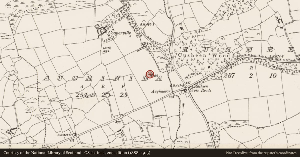 Ordnance Survey six-inch map, 2nd edition (1888–1915) covering the location of Souterrain, Aughinida, County Cork, with a pin at the register's coordinates