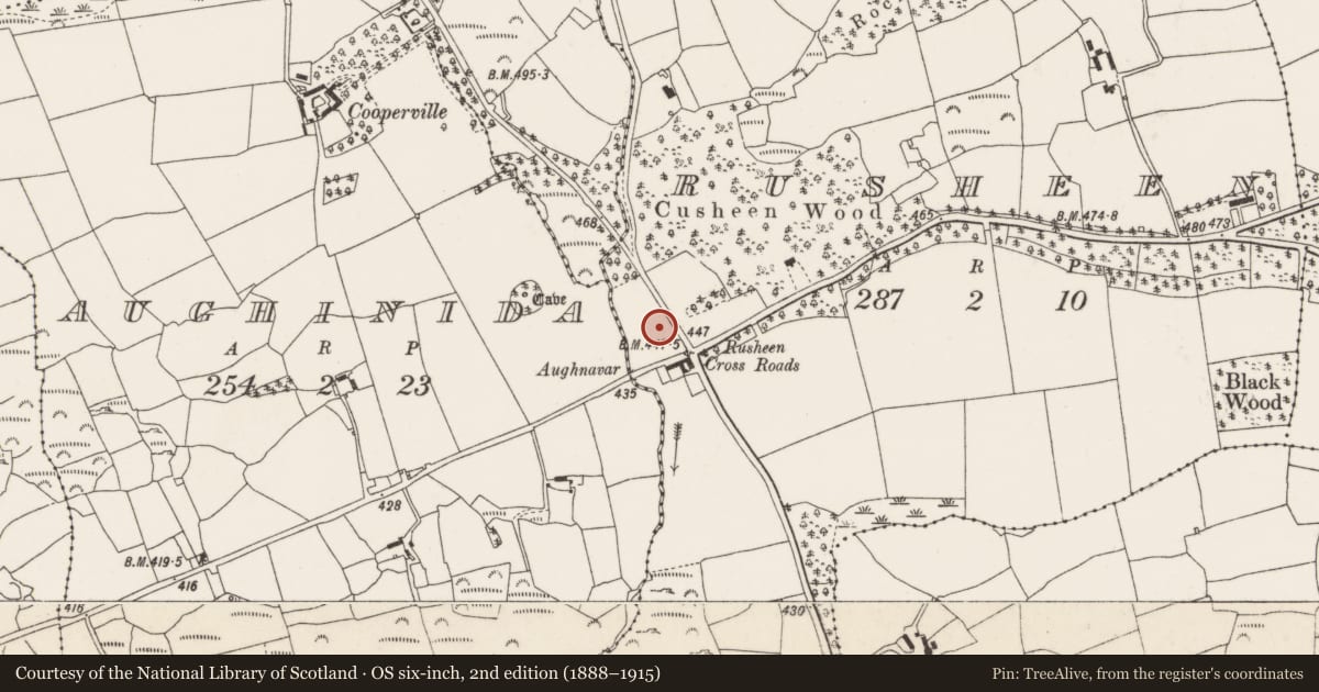 Ordnance Survey six-inch map, 2nd edition (1888–1915) covering the location of Standing stone, Rusheen, County Cork, with a pin at the register's coordinates
