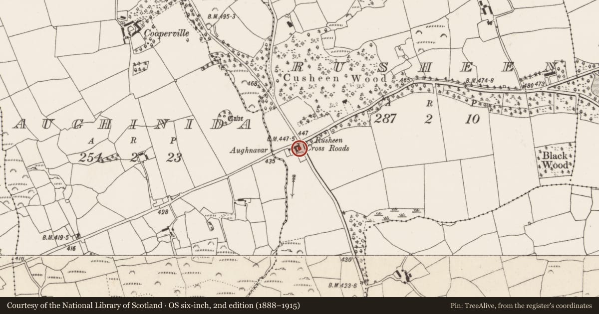 Ordnance Survey six-inch map, 2nd edition (1888–1915) covering the location of Church, Rusheen, County Cork, with a pin at the register's coordinates