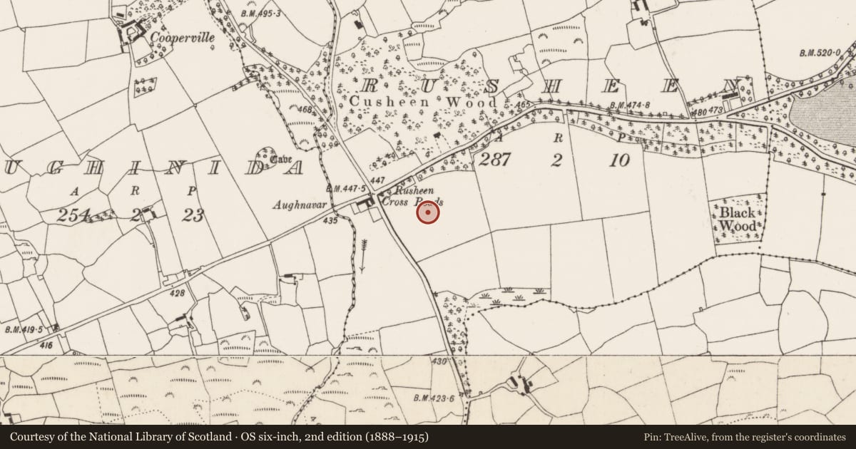 Ordnance Survey six-inch map, 2nd edition (1888–1915) covering the location of Standing stone, Rusheen, County Cork, with a pin at the register's coordinates