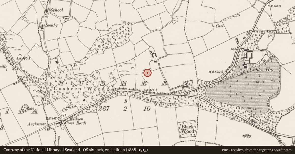 Ordnance Survey six-inch map, 2nd edition (1888–1915) covering the location of Enclosure, Rusheen, County Cork, with a pin at the register's coordinates