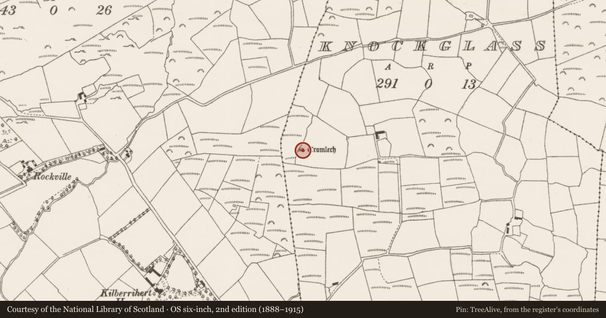 Ordnance Survey six-inch map, 2nd edition (1888–1915) covering the location of Megalithic tomb - wedge tomb, Knockglass, County Cork, with a pin at the register's coordinates