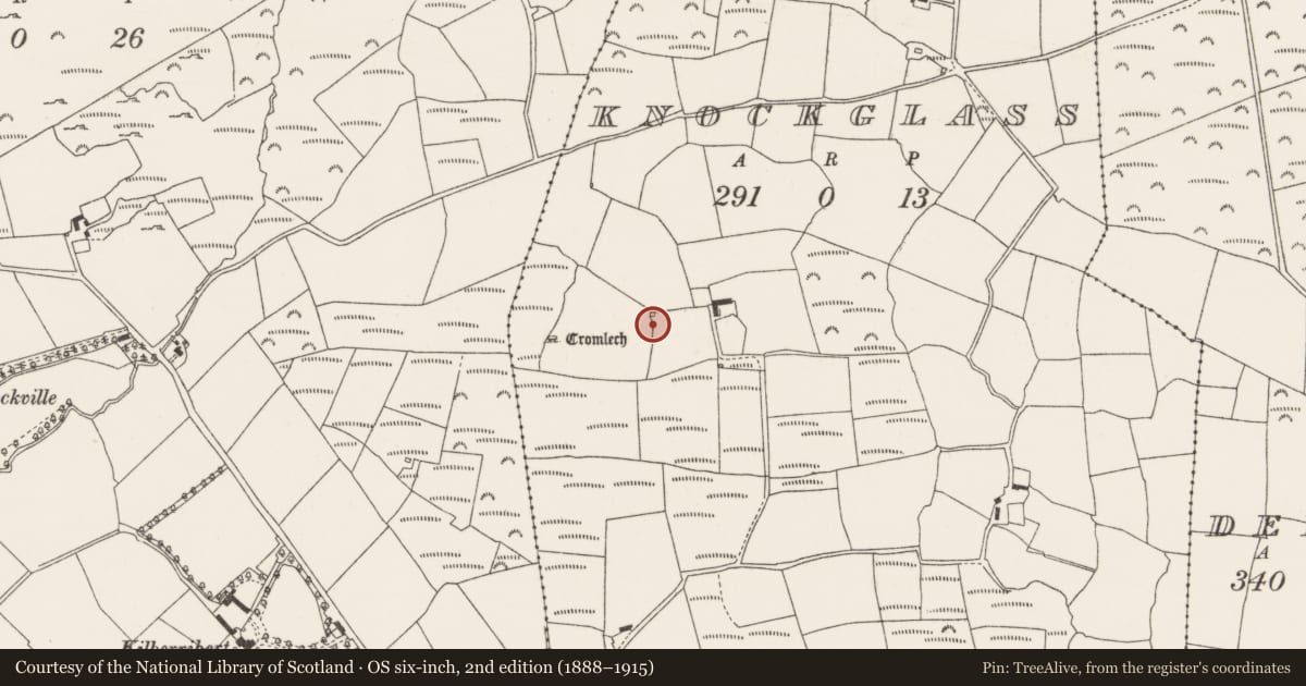 Ordnance Survey six-inch map, 2nd edition (1888–1915) covering the location of Ringfort - rath, Knockglass, County Cork, with a pin at the register's coordinates