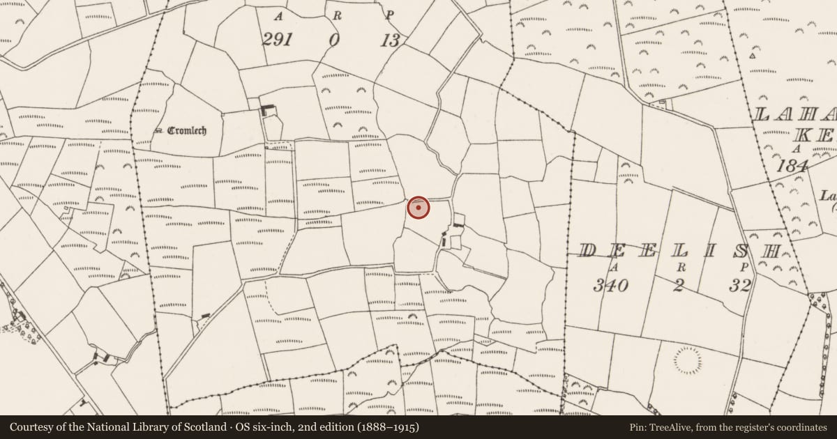 Ordnance Survey six-inch map, 2nd edition (1888–1915) covering the location of Ringfort - rath, Knockglass, County Cork, with a pin at the register's coordinates