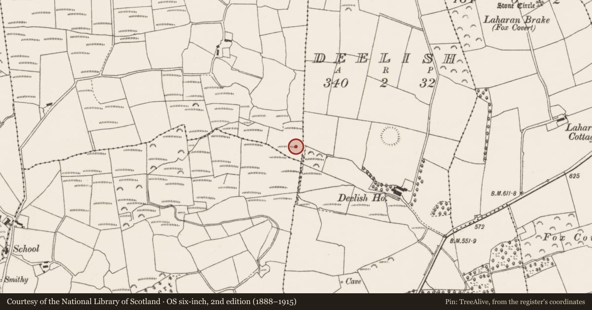 Ordnance Survey six-inch map, 2nd edition (1888–1915) covering the location of Fulacht fia, Knockglass, County Cork, with a pin at the register's coordinates