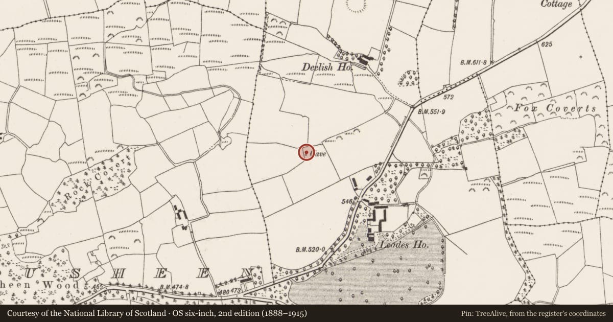 Ordnance Survey six-inch map, 2nd edition (1888–1915) covering the location of Souterrain, Deelish, County Cork, with a pin at the register's coordinates