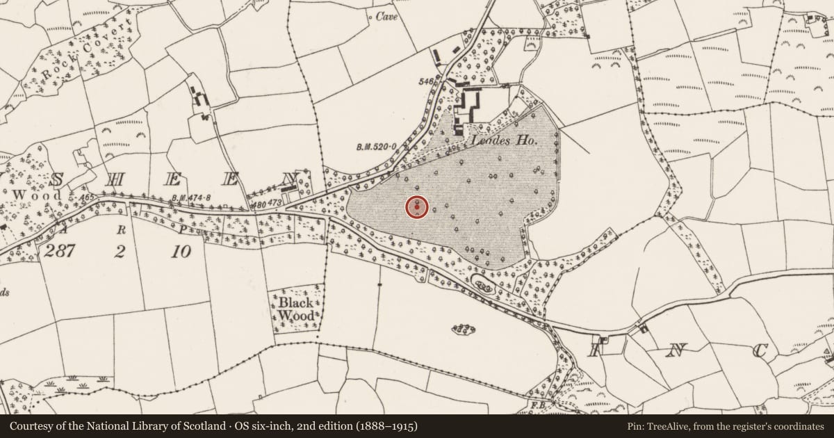 Ordnance Survey six-inch map, 2nd edition (1888–1915) covering the location of Standing stone, Deelish, County Cork, with a pin at the register's coordinates
