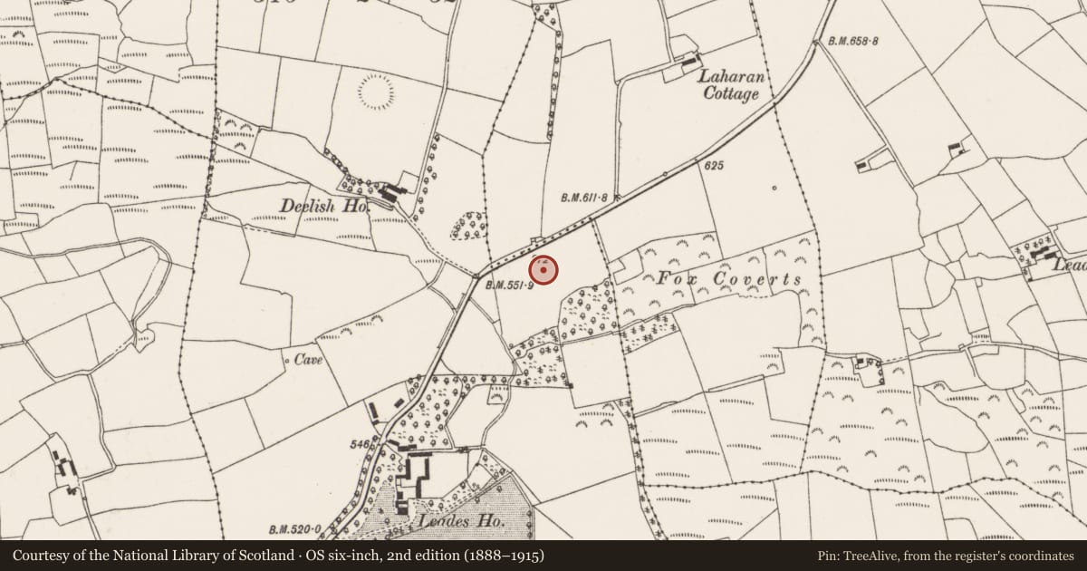 Ordnance Survey six-inch map, 2nd edition (1888–1915) covering the location of Standing stone, Deelish, County Cork, with a pin at the register's coordinates