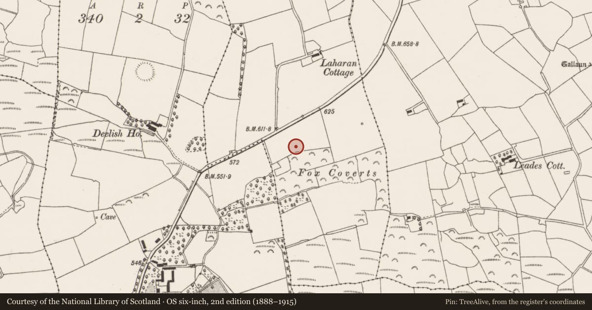 Ordnance Survey six-inch map, 2nd edition (1888–1915) covering the location of Standing stone, Laharankeal, County Cork, with a pin at the register's coordinates