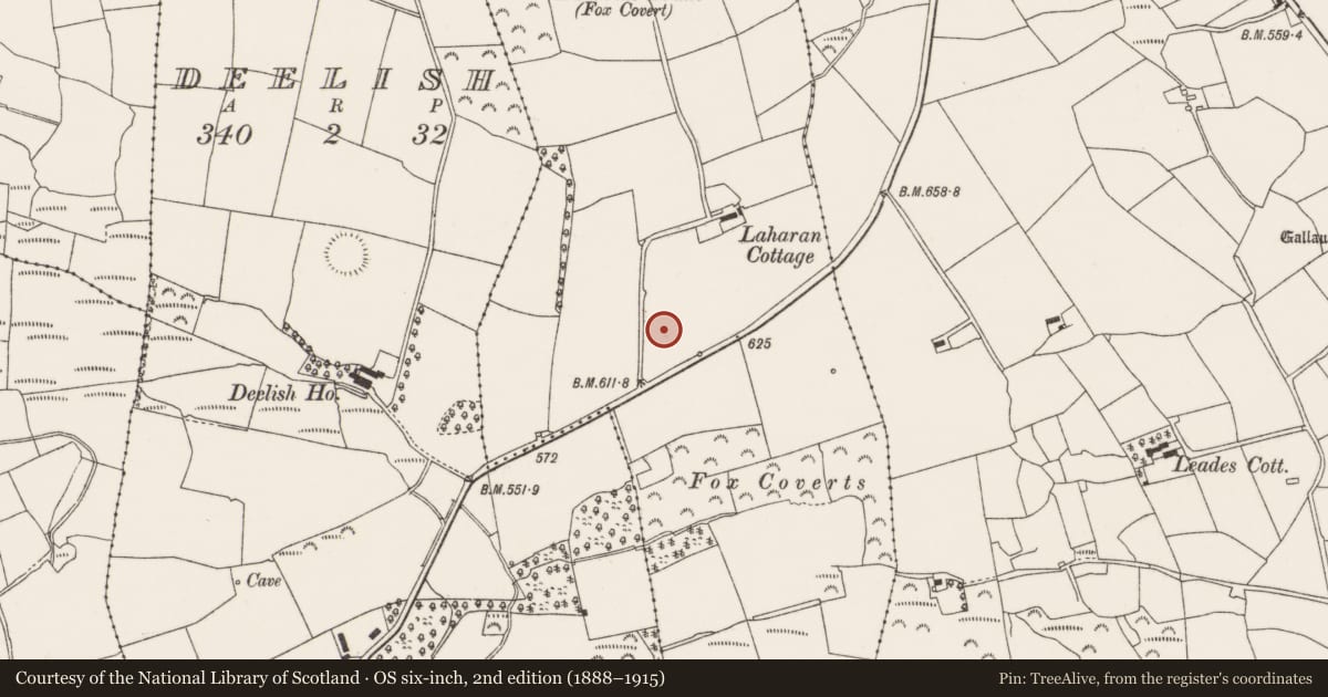 Ordnance Survey six-inch map, 2nd edition (1888–1915) covering the location of Standing stone, Laharankeal, County Cork, with a pin at the register's coordinates