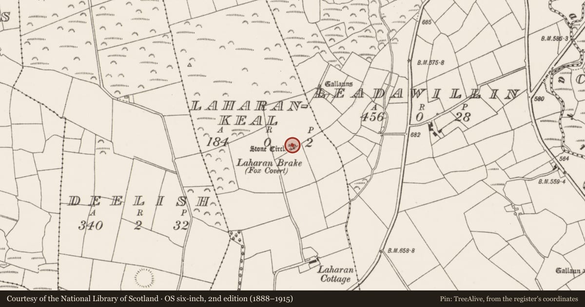 Ordnance Survey six-inch map, 2nd edition (1888–1915) covering the location of Stone circle - five-stone, Laharankeal, County Cork, with a pin at the register's coordinates