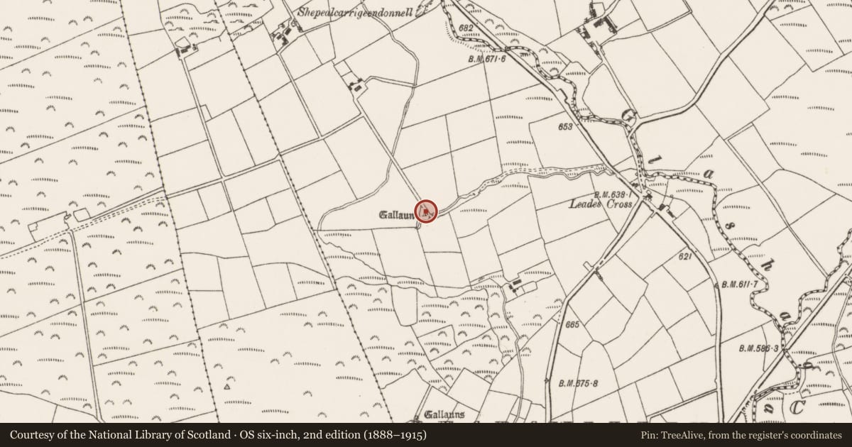 Ordnance Survey six-inch map, 2nd edition (1888–1915) covering the location of Standing stone, Leadawillin, County Cork, with a pin at the register's coordinates