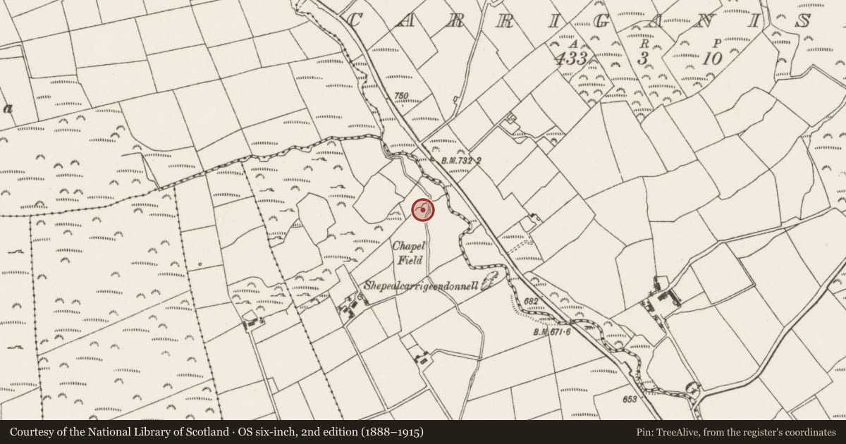 Ordnance Survey six-inch map, 2nd edition (1888–1915) covering the location of Church, Leadawillin, County Cork, with a pin at the register's coordinates