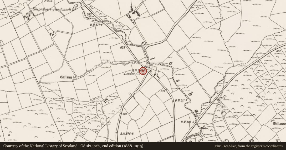 Ordnance Survey six-inch map, 2nd edition (1888–1915) covering the location of Standing stone, Leadawillin, County Cork, with a pin at the register's coordinates