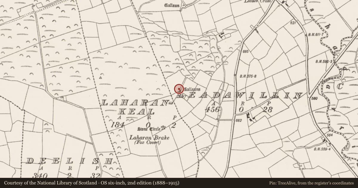 Ordnance Survey six-inch map, 2nd edition (1888–1915) covering the location of Stone row, Leadawillin, County Cork, with a pin at the register's coordinates