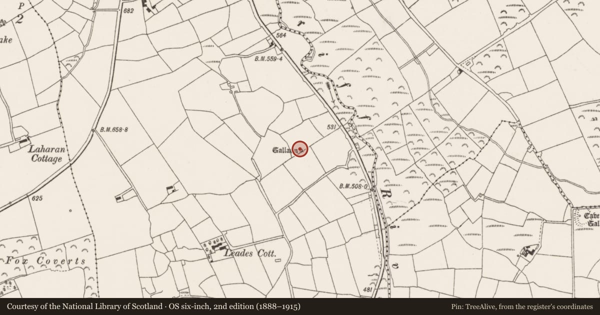 Ordnance Survey six-inch map, 2nd edition (1888–1915) covering the location of Standing stone, Leadawillin, County Cork, with a pin at the register's coordinates