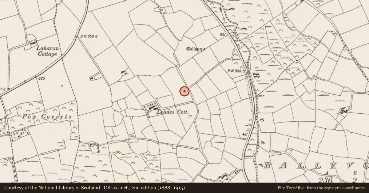 Ordnance Survey six-inch map, 2nd edition (1888–1915) covering the location of Standing stone, Leadawillin, County Cork, with a pin at the register's coordinates