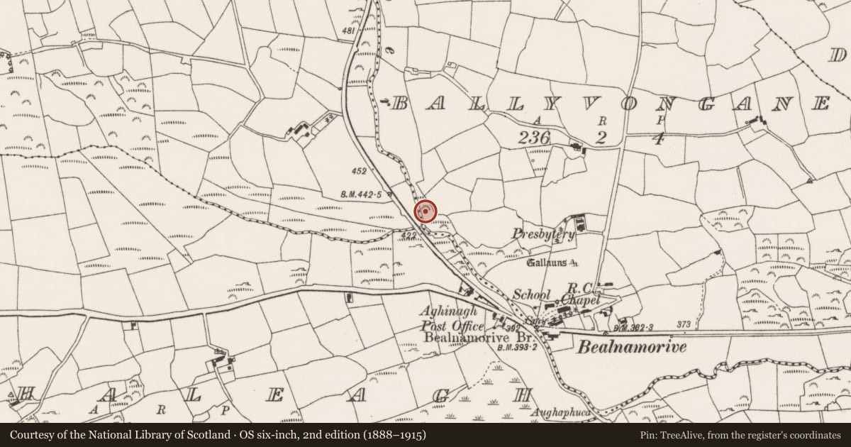 Ordnance Survey six-inch map, 2nd edition (1888–1915) covering the location of Church, Ballyvongane, County Cork, with a pin at the register's coordinates