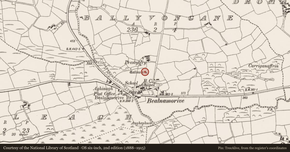 Ordnance Survey six-inch map, 2nd edition (1888–1915) covering the location of Standing stone - pair, Ballyvongane, County Cork, with a pin at the register's coordinates