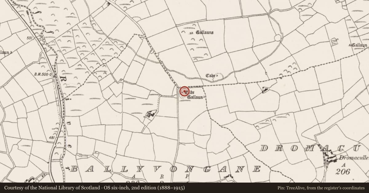 Ordnance Survey six-inch map, 2nd edition (1888–1915) covering the location of Ringfort - rath, Ballyvongane, County Cork, with a pin at the register's coordinates
