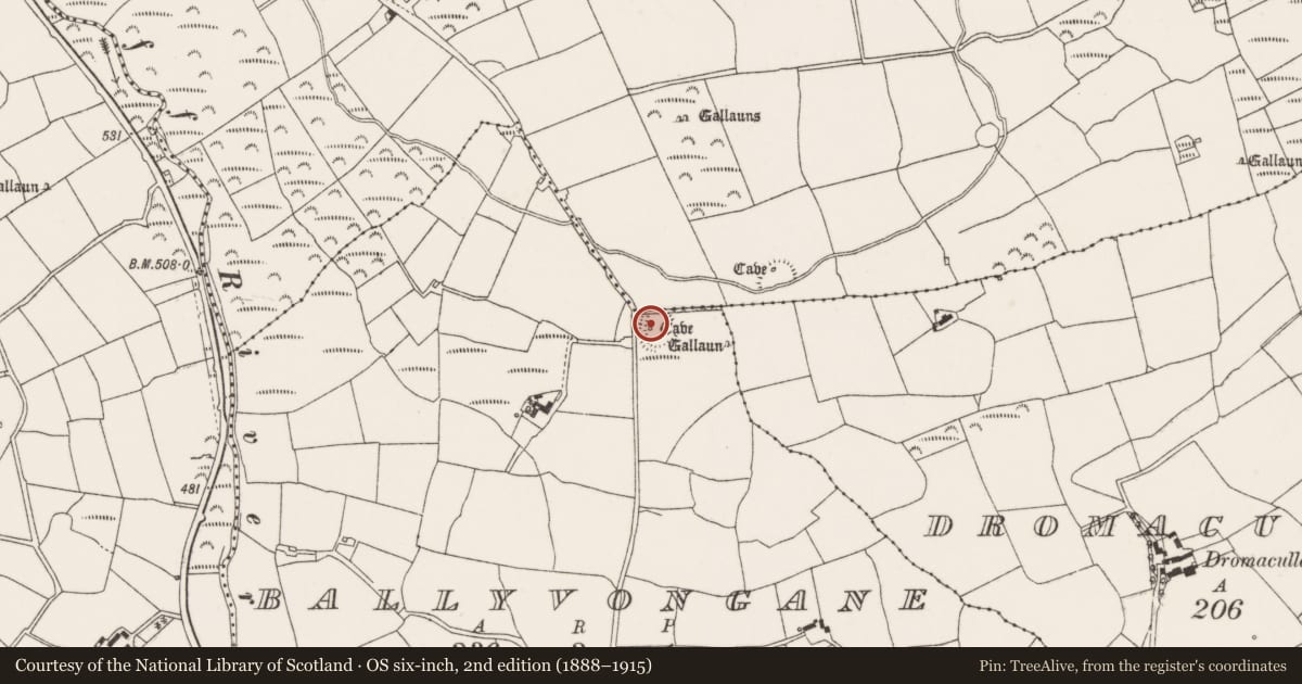 Ordnance Survey six-inch map, 2nd edition (1888–1915) covering the location of Souterrain, Ballyvongane, County Cork, with a pin at the register's coordinates