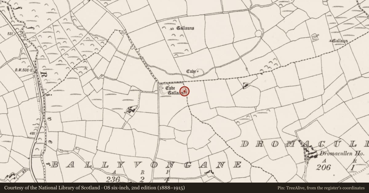 Ordnance Survey six-inch map, 2nd edition (1888–1915) covering the location of Anomalous stone group, Ballyvongane, County Cork, with a pin at the register's coordinates