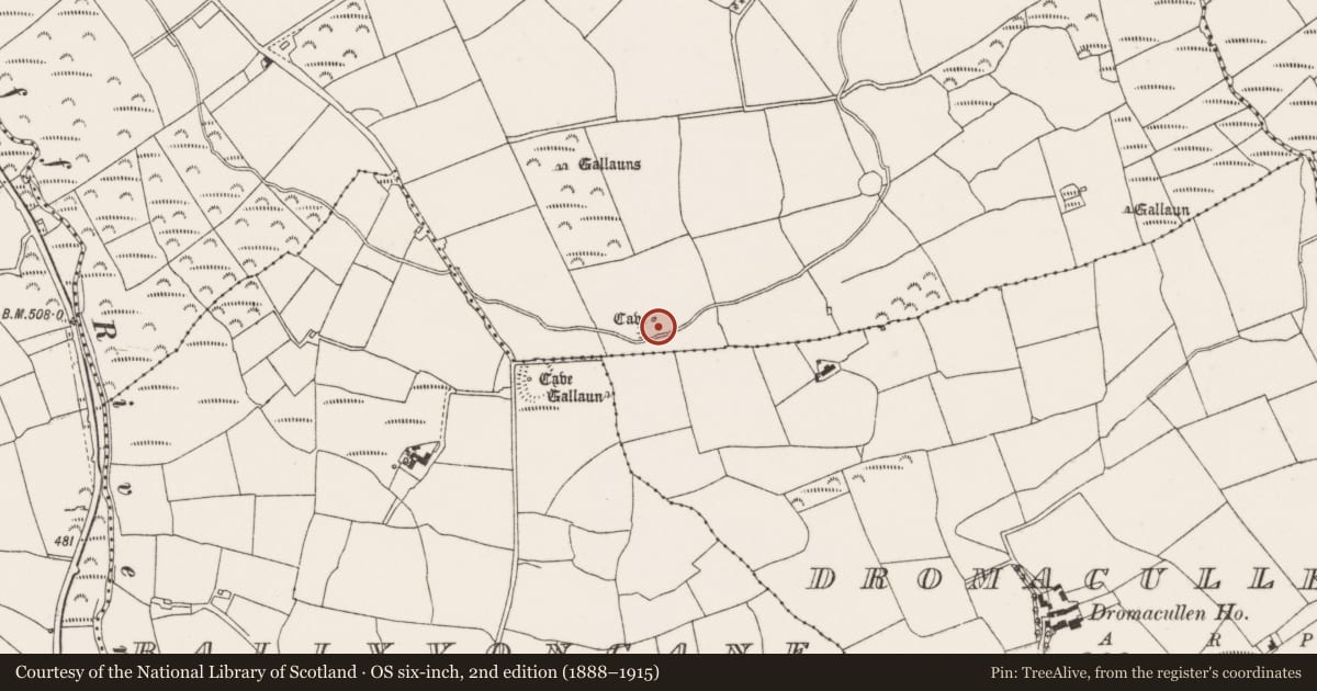 Ordnance Survey six-inch map, 2nd edition (1888–1915) covering the location of Ringfort - rath, Coolgarriff, County Cork, with a pin at the register's coordinates