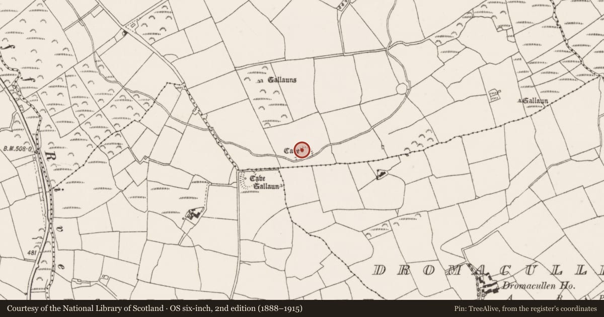 Ordnance Survey six-inch map, 2nd edition (1888–1915) covering the location of Souterrain, Coolgarriff, County Cork, with a pin at the register's coordinates