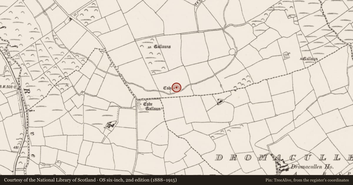 Ordnance Survey six-inch map, 2nd edition (1888–1915) covering the location of Standing stone, Coolgarriff, County Cork, with a pin at the register's coordinates