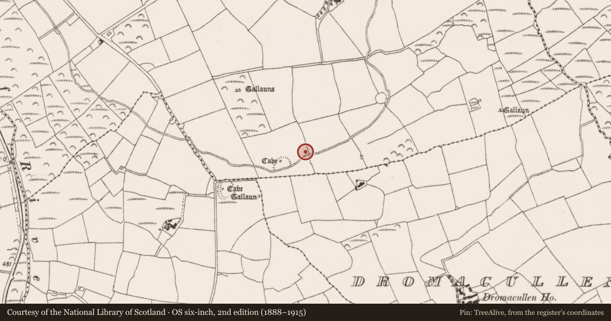 Ordnance Survey six-inch map, 2nd edition (1888–1915) covering the location of Anomalous stone group, Coolgarriff, County Cork, with a pin at the register's coordinates