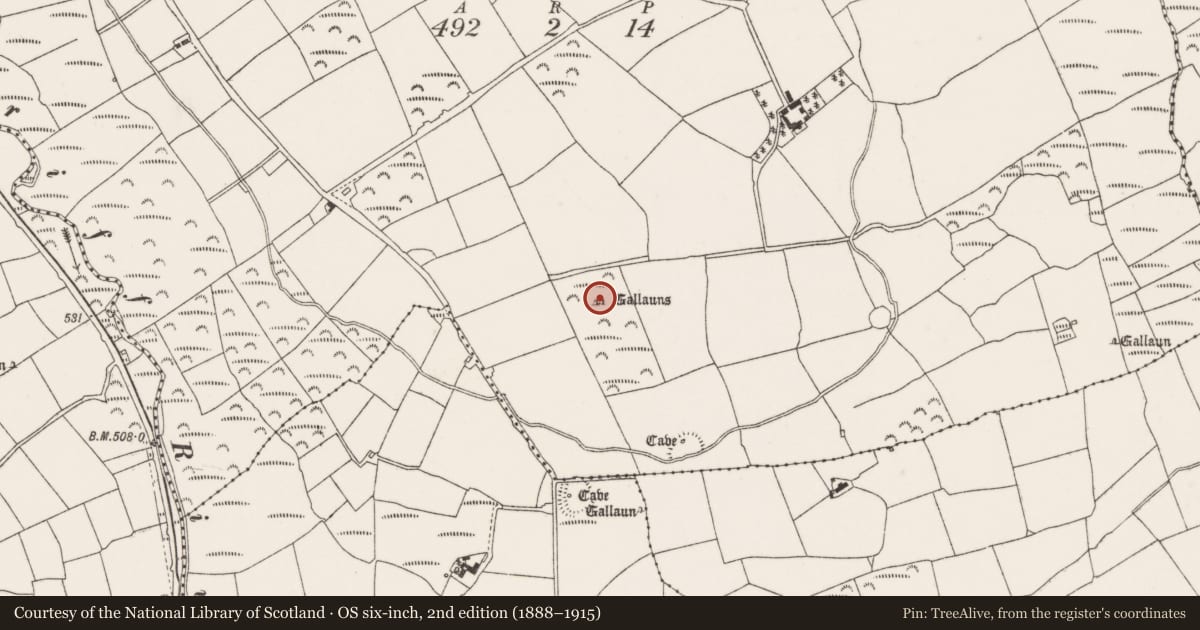 Ordnance Survey six-inch map, 2nd edition (1888–1915) covering the location of Standing stone - pair, Coolgarriff, County Cork, with a pin at the register's coordinates