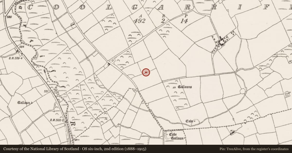 Ordnance Survey six-inch map, 2nd edition (1888–1915) covering the location of Standing stone, Coolgarriff, County Cork, with a pin at the register's coordinates