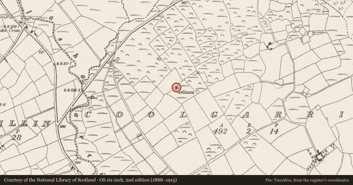 Ordnance Survey six-inch map, 2nd edition (1888–1915) covering the location of Stone row, Coolgarriff, County Cork, with a pin at the register's coordinates