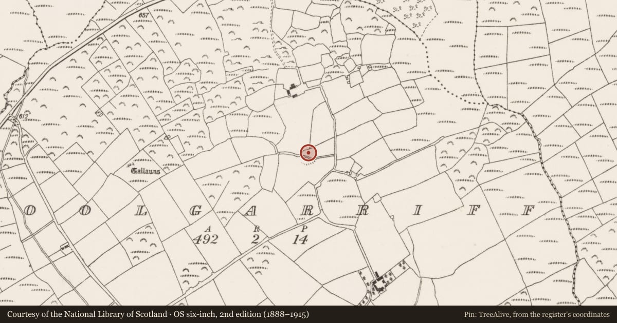 Ordnance Survey six-inch map, 2nd edition (1888–1915) covering the location of Ringfort - rath, Coolgarriff, County Cork, with a pin at the register's coordinates
