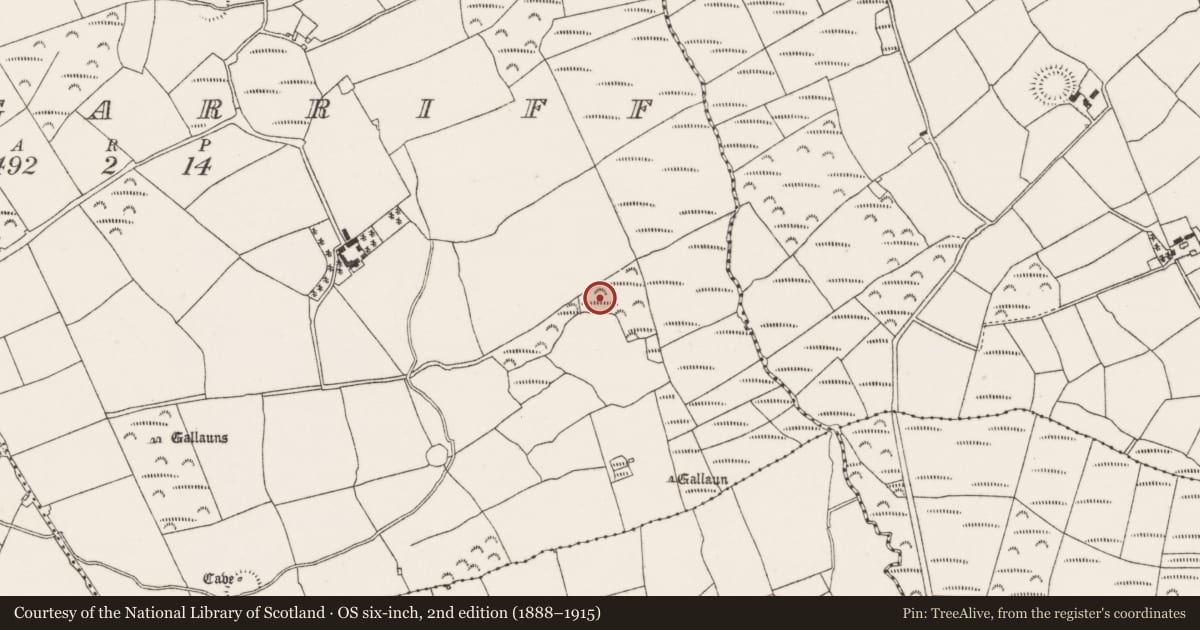 Ordnance Survey six-inch map, 2nd edition (1888–1915) covering the location of Fulacht fia, Coolgarriff, County Cork, with a pin at the register's coordinates