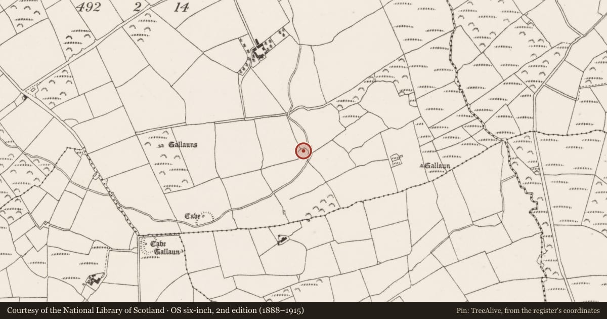Ordnance Survey six-inch map, 2nd edition (1888–1915) covering the location of Ringfort - cashel, Coolgarriff, County Cork, with a pin at the register's coordinates