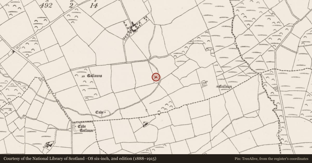 Ordnance Survey six-inch map, 2nd edition (1888–1915) covering the location of Souterrain, Coolgarriff, County Cork, with a pin at the register's coordinates