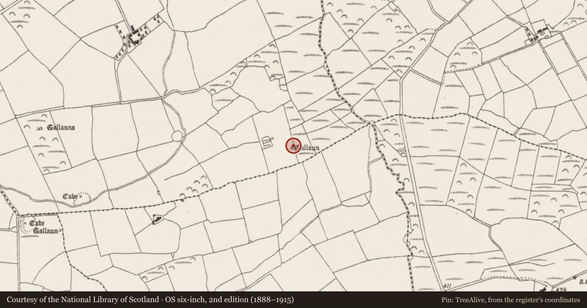 Ordnance Survey six-inch map, 2nd edition (1888–1915) covering the location of Standing stone, Coolgarriff, County Cork, with a pin at the register's coordinates