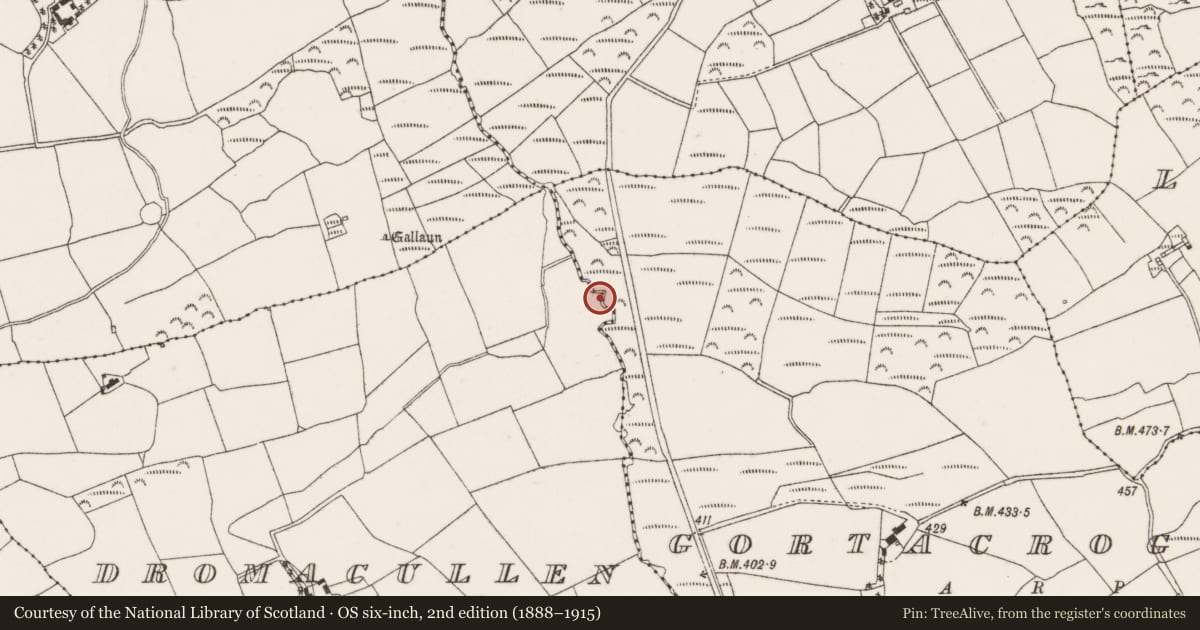 Ordnance Survey six-inch map, 2nd edition (1888–1915) covering the location of Fulacht fia, Dromacullen, County Cork, with a pin at the register's coordinates