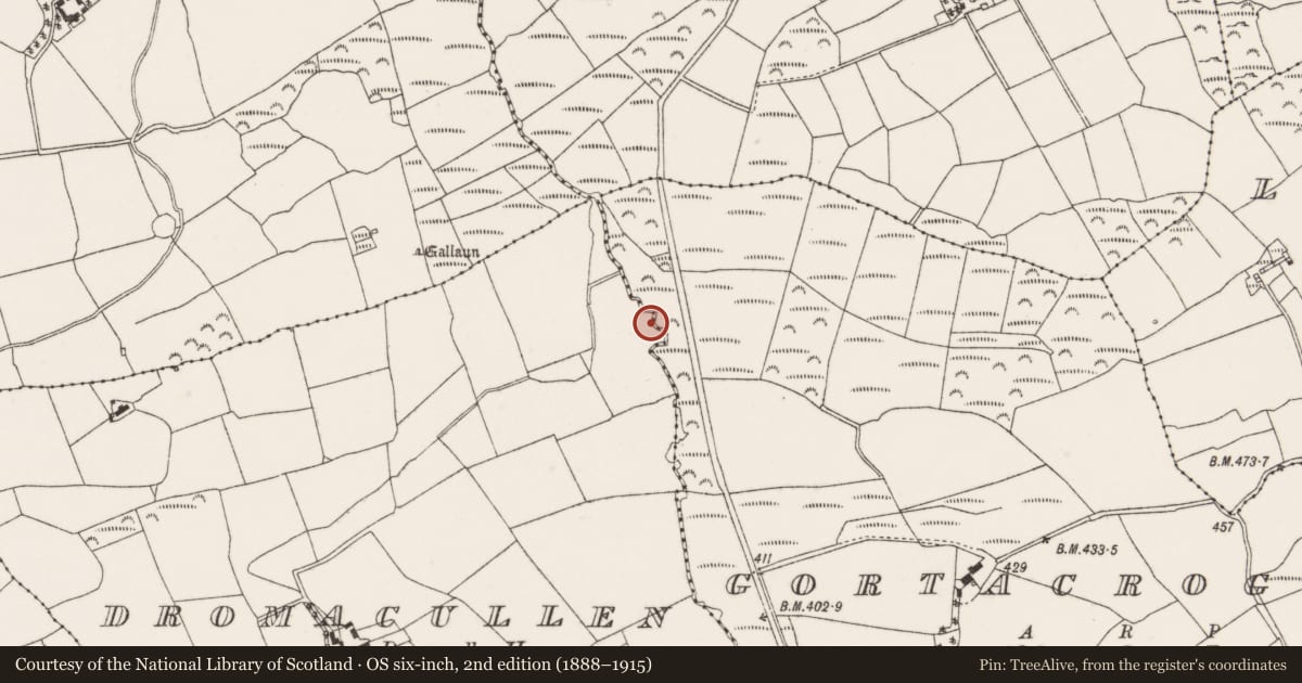 Ordnance Survey six-inch map, 2nd edition (1888–1915) covering the location of Fulacht fia, Dromacullen, County Cork, with a pin at the register's coordinates